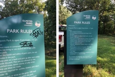 Non-Sacrificial Anti-Graffiti Systems